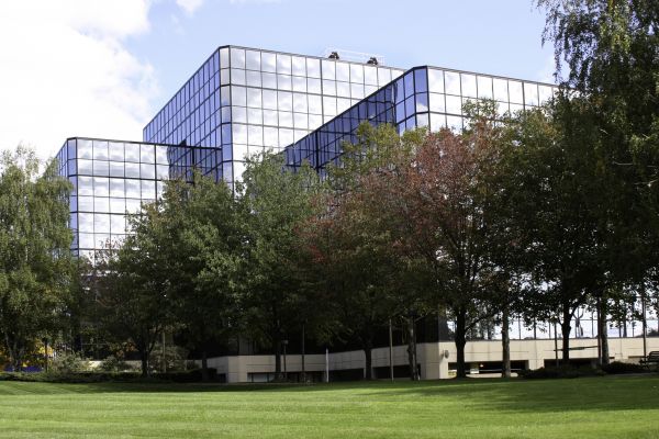 Commercial Tree Trimming in Peoria